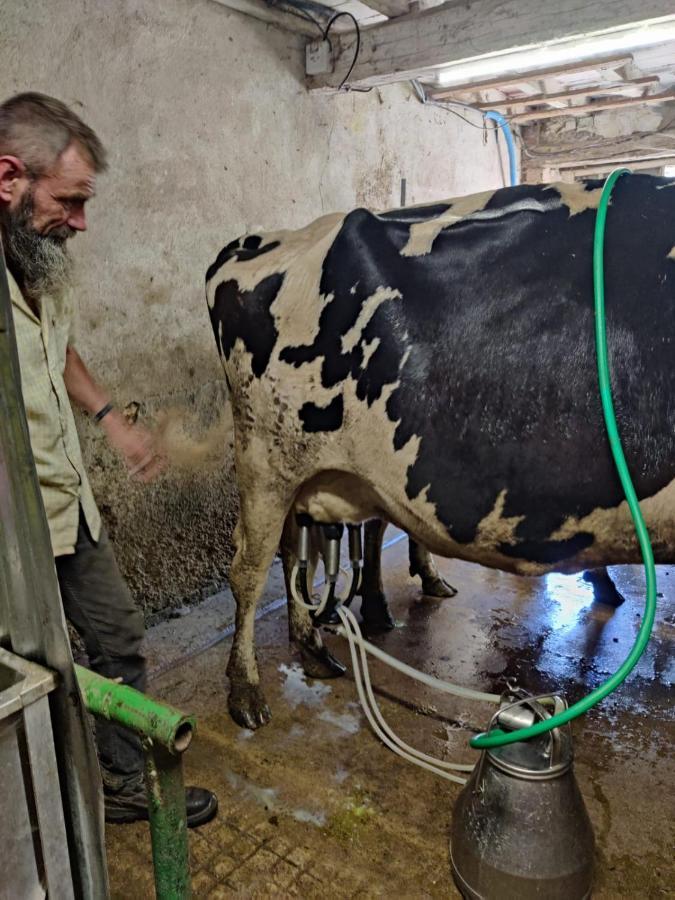 Ferme Pedagogique Des Pennetieres Villa Montcorbon Buitenkant foto