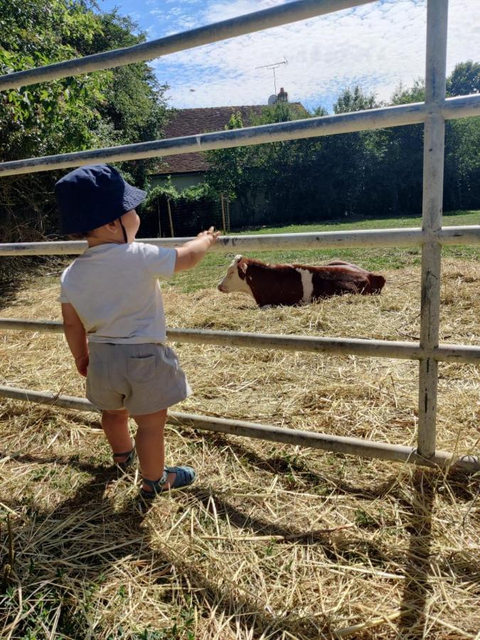 Ferme Pedagogique Des Pennetieres Villa Montcorbon Buitenkant foto