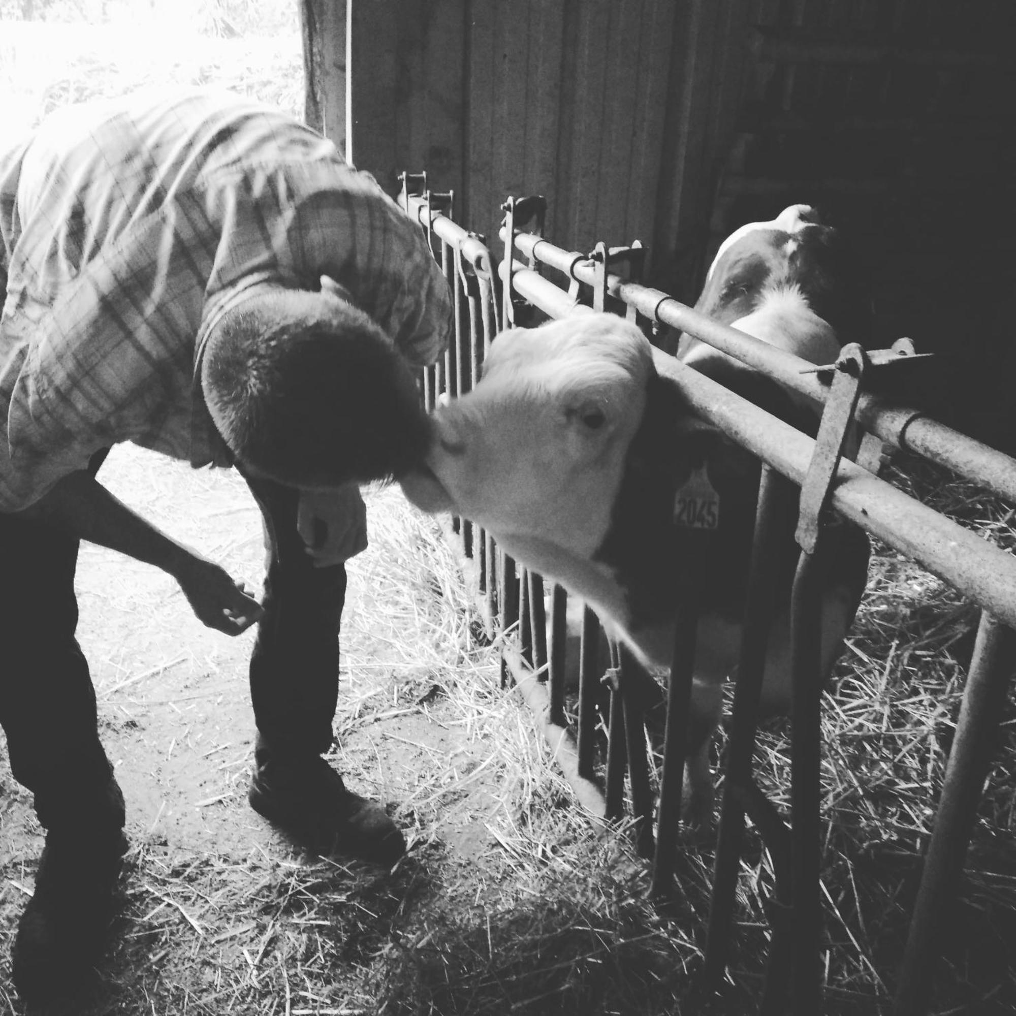 Ferme Pedagogique Des Pennetieres Villa Montcorbon Buitenkant foto