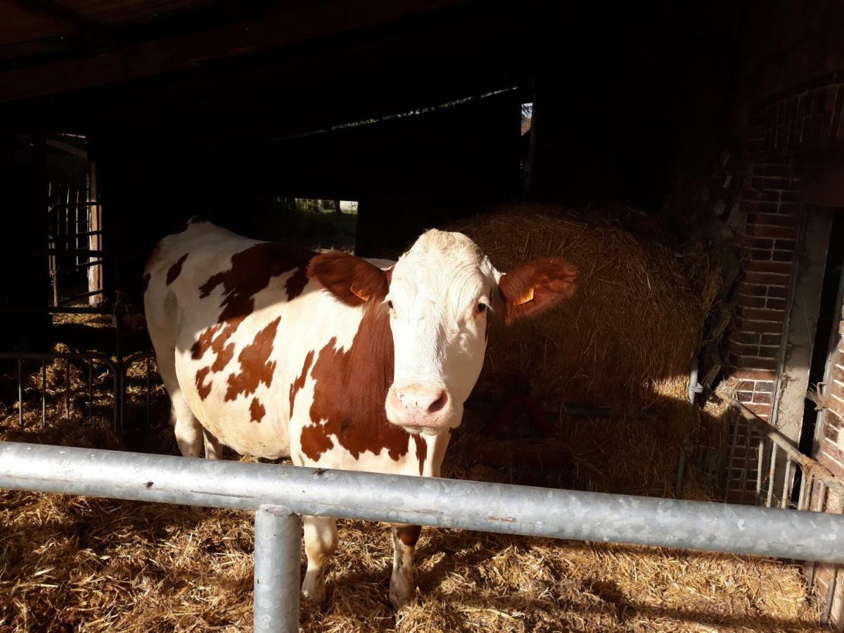 Ferme Pedagogique Des Pennetieres Villa Montcorbon Buitenkant foto